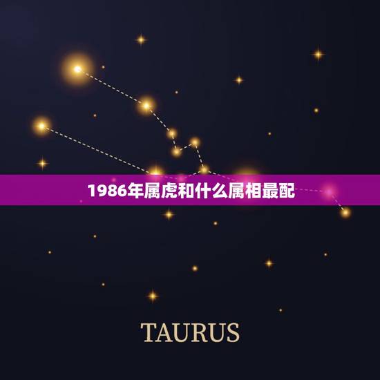 1986年属虎和什么属相最配,86年的虎和什么属相最配 1986年属虎和什么属相最配,86年的虎和什么属相最配