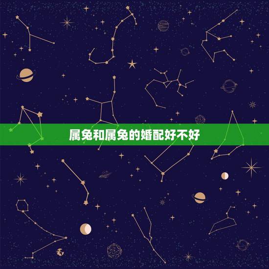属兔和属兔的婚配好不好,兔男兔女是上等婚姻 属兔和属兔的婚配好不好,兔男兔女是上等婚姻