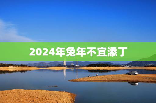 2024年兔年不宜添丁，2024年什么年