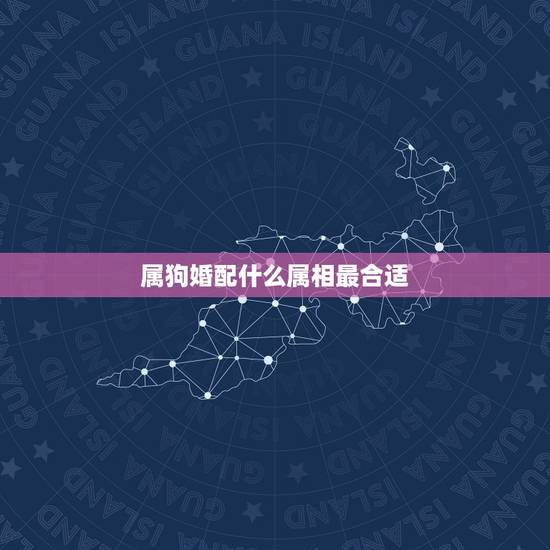 属狗婚配什么属相最合适,属狗与什么属相最配夫妻 属狗婚配什么属相最合适,属狗与什么属相最配夫妻