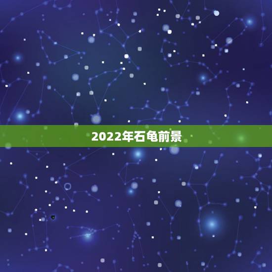 2022年石龟前景,关于石金钱龟的生活习惯 2022年石龟前景,关于石金钱龟的生活习惯