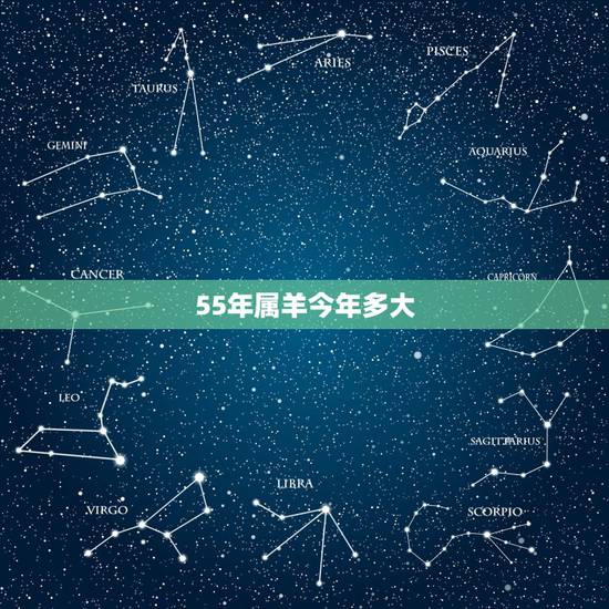 55年属羊今年多大,2022 属猴的今年多大 55年属羊今年多大,2022 属猴的今年多大