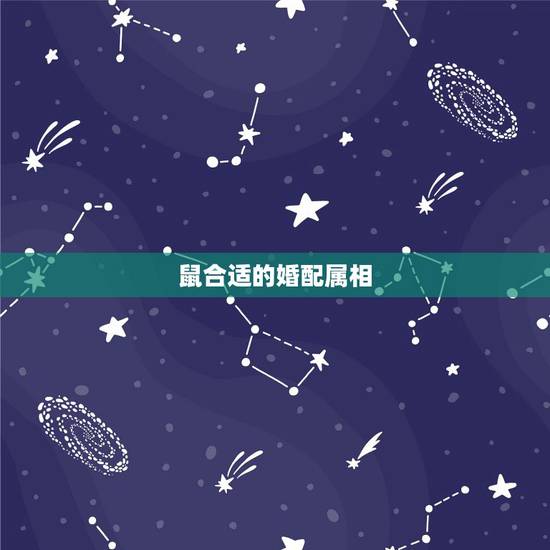 鼠合适的婚配属相,属鼠的和什么属相最合适 鼠合适的婚配属相,属鼠的和什么属相最合适