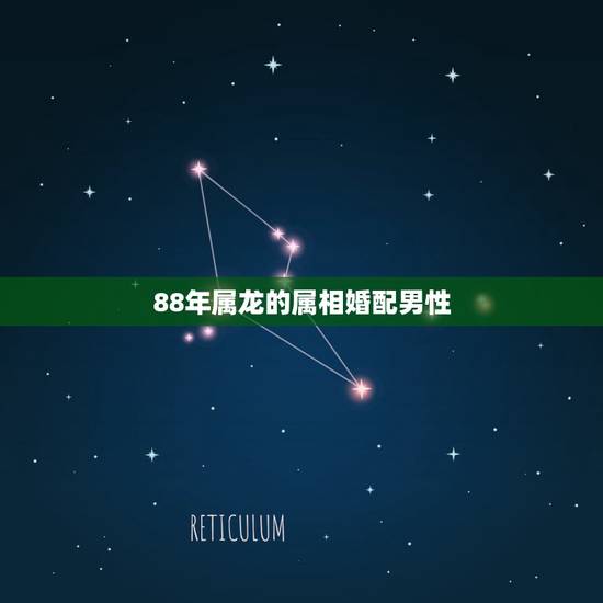 88年属龙的属相婚配男性,88年属龙的和什么属相最配 88年属龙的属相婚配男性,88年属龙的和什么属相最配