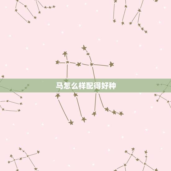 马怎么样配得好种,动物恶心的繁殖方式 马怎么样配得好种,动物恶心的繁殖方式