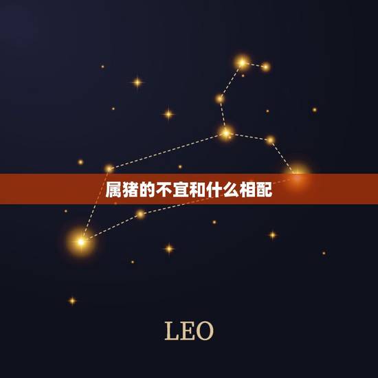 属猪的不宜和什么相配，属猪的人不能和什么属相合作