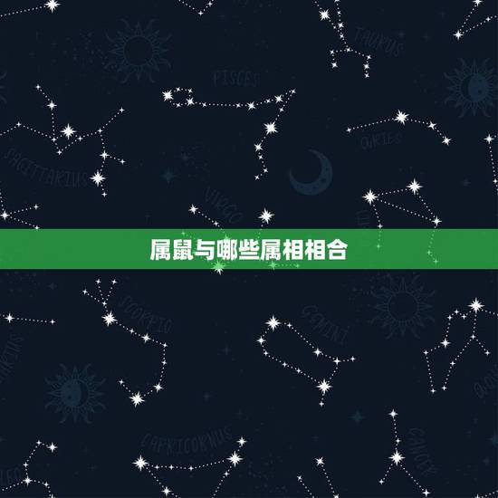 属鼠与哪些属相相合，鼠和什么生肖相冲