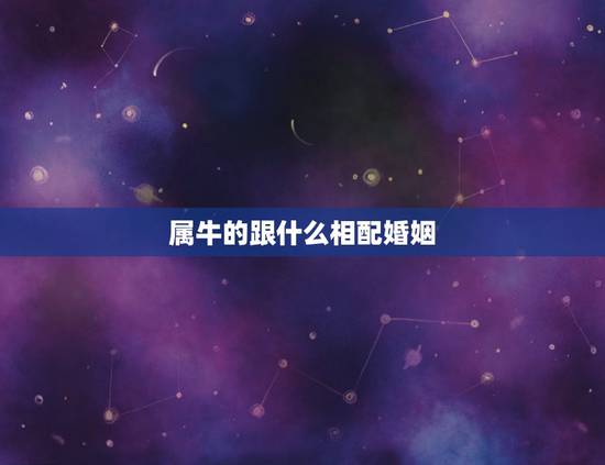 属牛的跟什么相配婚姻，85年属牛2022 年婚姻怎样