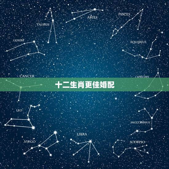十二生肖更佳婚配，十二生肖更佳配对表格