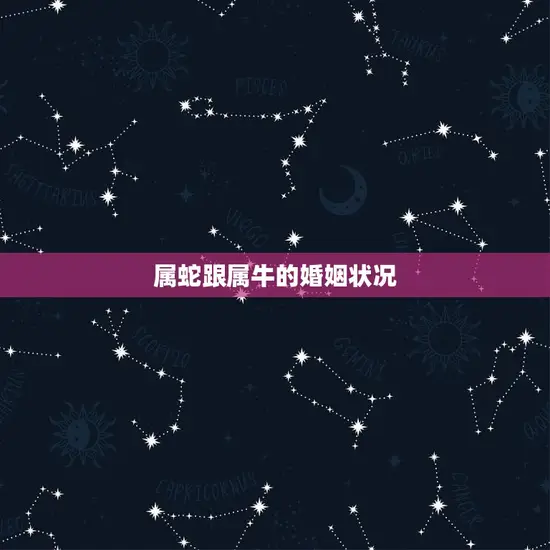 属蛇跟属牛的婚姻状况