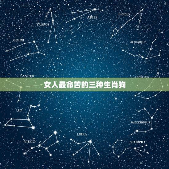 女人最命苦的三种生肖狗,命更好生肖女 女人最命苦的三种生肖狗,命更好生肖女