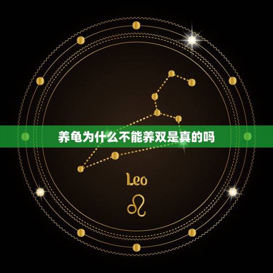 养龟为什么不能养双是真的吗,养龟为什么不能养双? 养龟为什么不能养双是真的吗,养龟为什么不能养双?