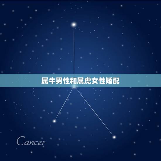 属牛男性和属虎女性婚配，男属牛和女属虎的婚姻是怎样的？