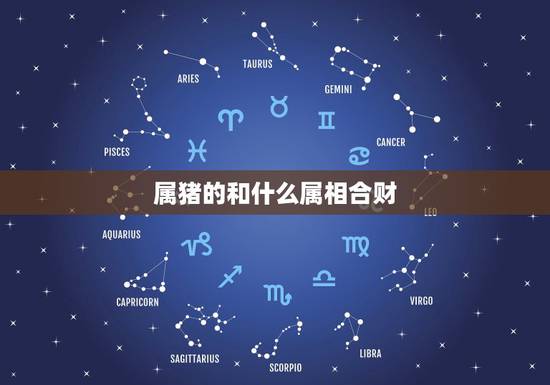 属猪的和什么属相合财，猪和哪个属相合财