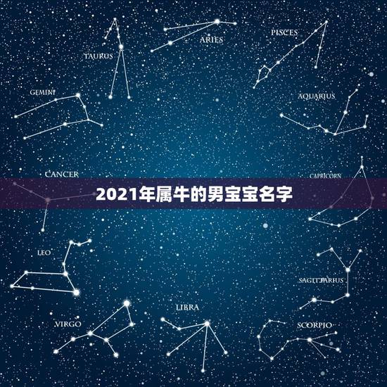 2021年属牛的男宝宝名字，男孩名字2021年属牛怎么取？