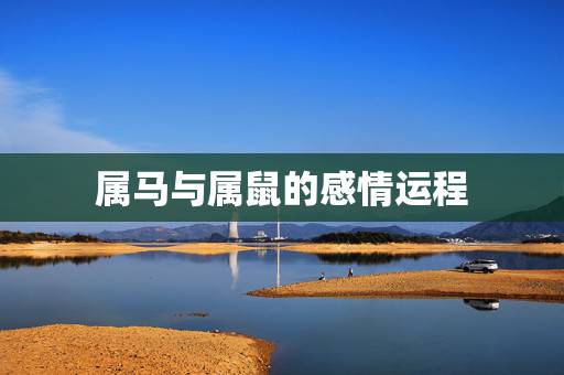属马与属鼠的感情运程,属马和属鼠的婚姻如何 属马与属鼠的感情运程,属马和属鼠的婚姻如何