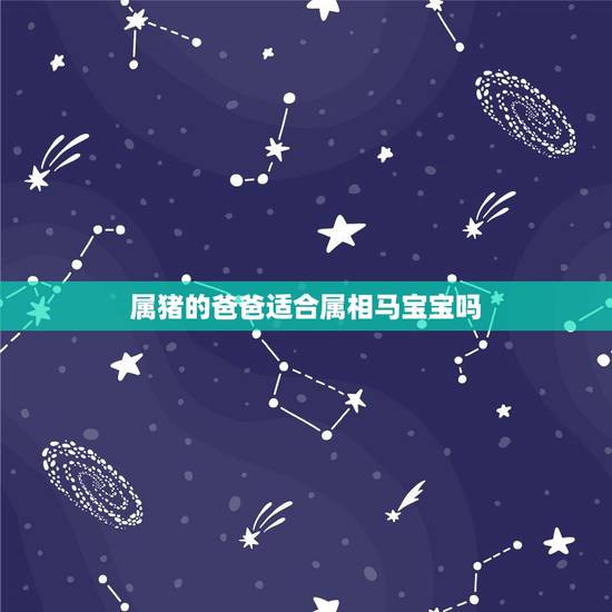 属猪的爸爸适合属相马宝宝吗,爸爸属马,妈妈属羊,儿子属猪这样的生肖好吗 属猪的爸爸适合属相马宝宝吗,爸爸属马,妈妈属羊,儿子属猪这样的生肖好吗