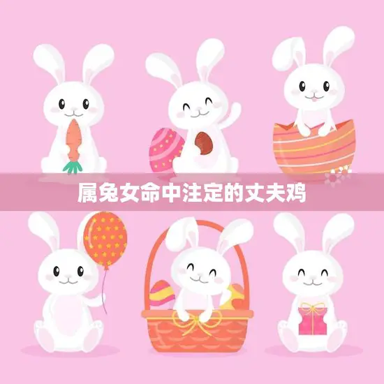 属兔女命中注定的丈夫鸡(如何成为她的完美伴侣)