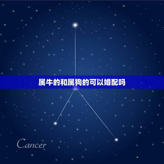 属牛的和属狗的可以婚配吗，属牛的人，跟属狗的，能不能相配？
