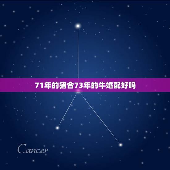 71年的猪合73年的牛婚配好吗，1971属猪女和1973属牛男婚配好吗