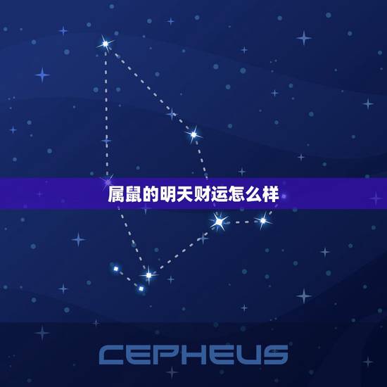 属鼠的明天财运怎么样,属鼠今天的运气 属鼠的明天财运怎么样,属鼠今天的运气