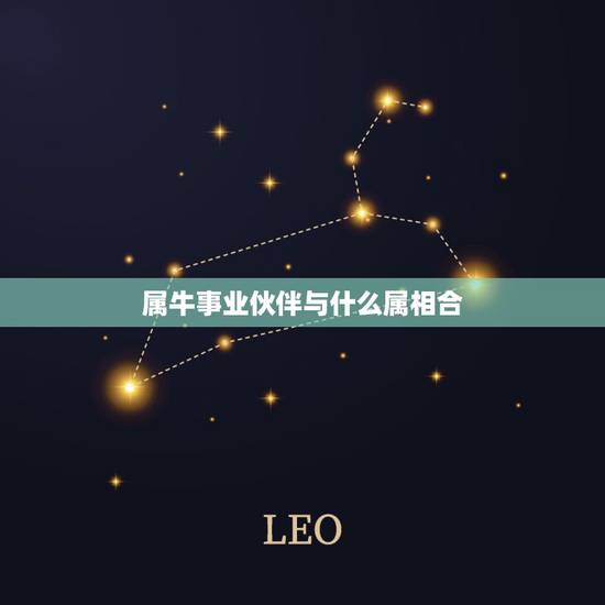 属牛事业伙伴与什么属相合,属牛和那几个属相最好配合工作 属牛事业伙伴与什么属相合,属牛和那几个属相最好配合工作