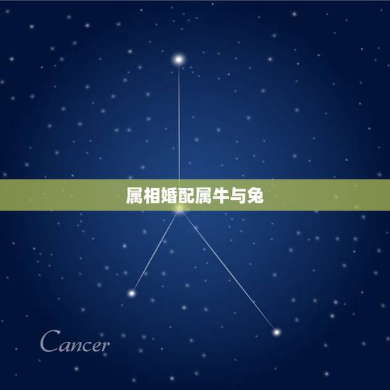 属相婚配属牛与兔,属相婚配:男属兔和女属牛相配吗? 属相婚配属牛与兔,属相婚配:男属兔和女属牛相配吗?