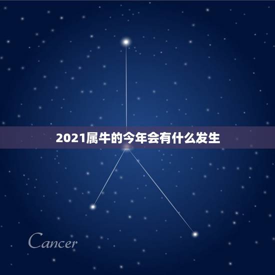 2021属牛的今年会有什么发生，今年属牛的财运和运气如何2021