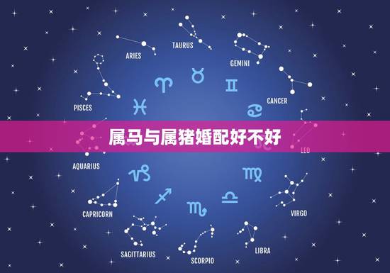 属马与属猪婚配好不好,属马与属猪相配吗 属马与属猪婚配好不好,属马与属猪相配吗