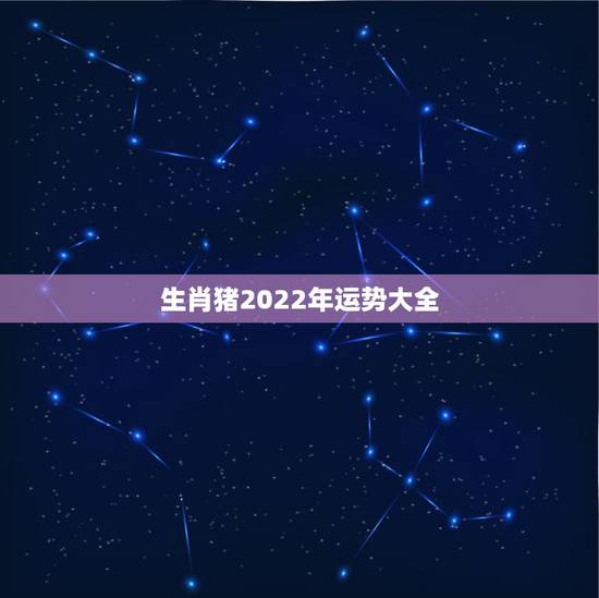 生肖猪2022年运势大全，1971年属猪2021年运势及运程？