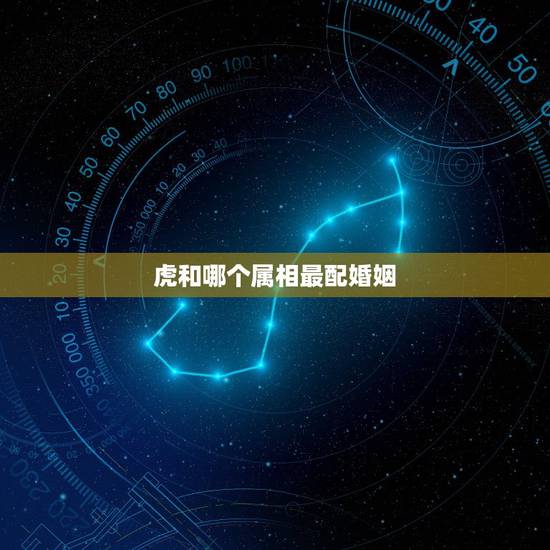 虎和哪个属相最配婚姻，属相婚姻准吗