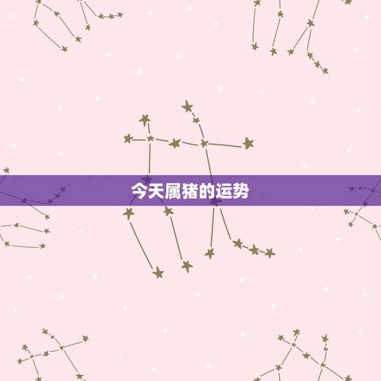 今天属猪的运势，今天属猪的运气好不好？