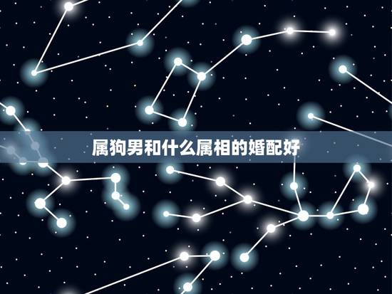 属狗男和什么属相的婚配好，男属狗和什么属相相配
