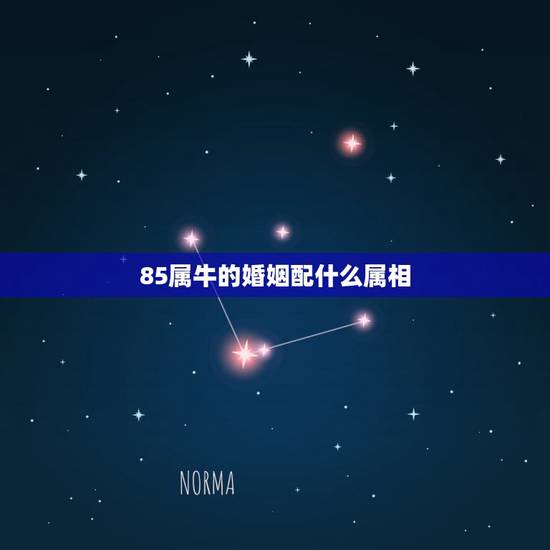 85属牛的婚姻配什么属相，85年属什么生肖，和什么相配？