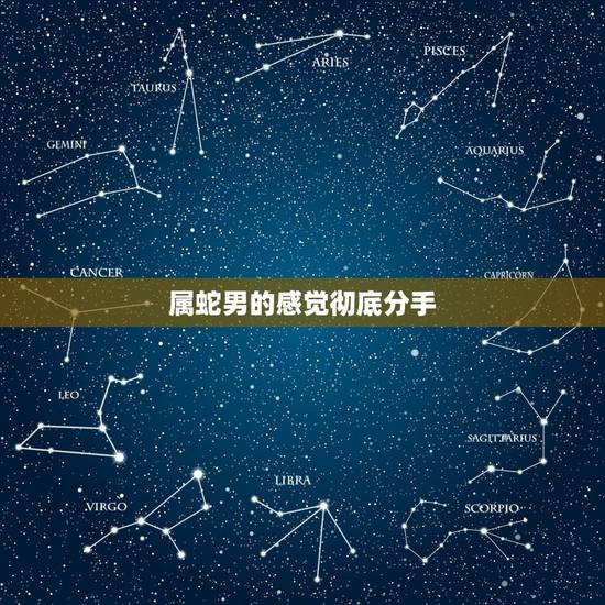属蛇男的感觉彻底分手，如何挽回一个对你死心的人