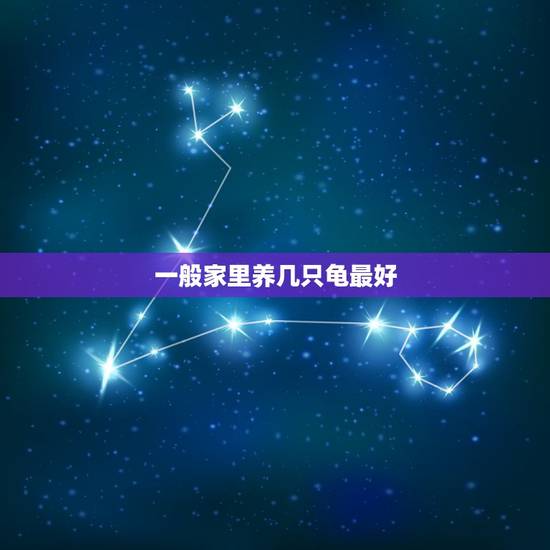 一般家里养几只龟最好，家里养乌龟一般养几只