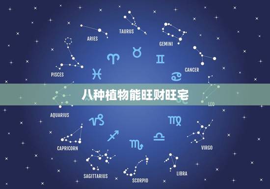 八种植物能旺财旺宅,居家风水哪些植物旺财 八种植物能旺财旺宅,居家风水哪些植物旺财
