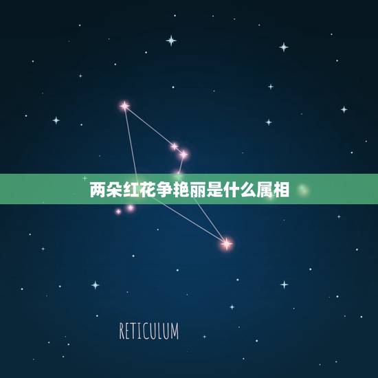 两朵红花争艳丽是什么属相，两朵红花争艳丽什么意思