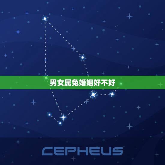 男女属兔婚姻好不好,男属兔和女属兔相克吗 男女属兔婚姻好不好,男属兔和女属兔相克吗