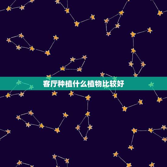 客厅种植什么植物比较好,想在家里客厅放个大型盆栽,选什么植物比较好 客厅种植什么植物比较好,想在家里客厅放个大型盆栽,选什么植物比较好