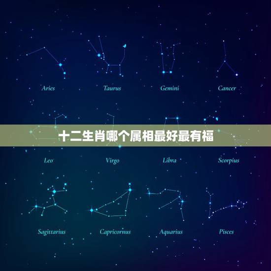 十二生肖哪个属相最好最有福，十二生肖哪个属相好