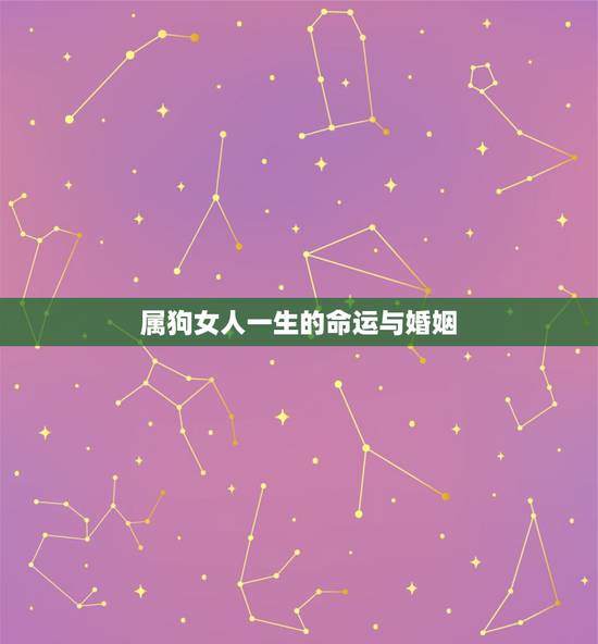 属狗女人一生的命运与婚姻,1982年属狗会离婚吗 属狗女人一生的命运与婚姻,1982年属狗会离婚吗