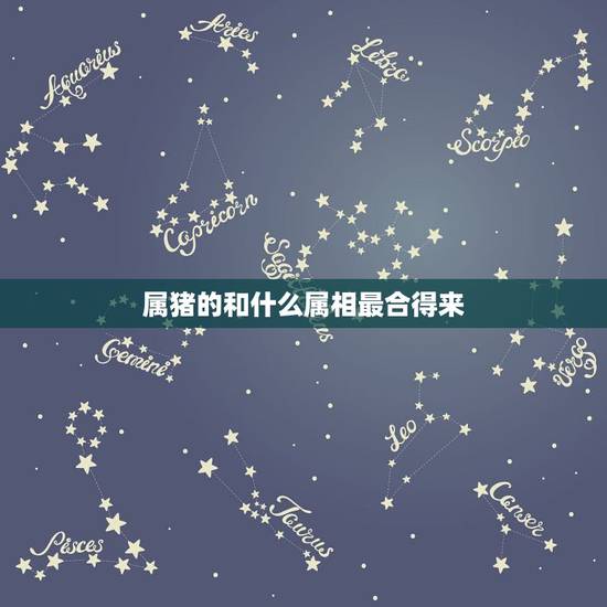 属猪的和什么属相最合得来,属猪的和什么属相最配 属猪的和什么属相最合得来,属猪的和什么属相最配