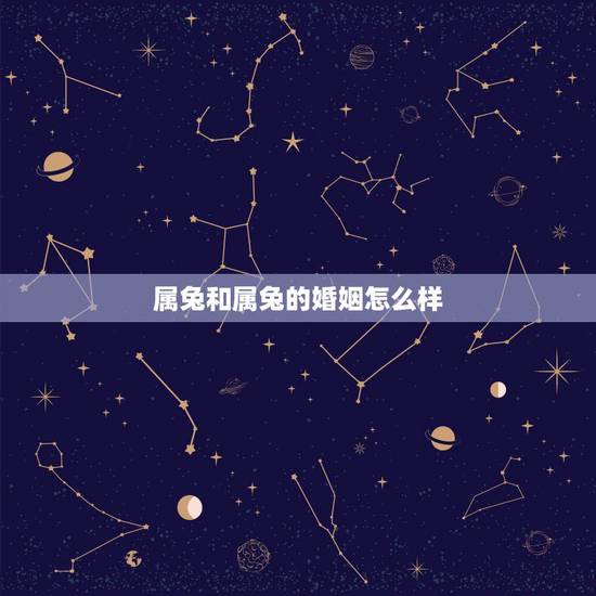 属兔和属兔的婚姻怎么样,属牛和属兔的婚姻怎么样 属兔和属兔的婚姻怎么样,属牛和属兔的婚姻怎么样