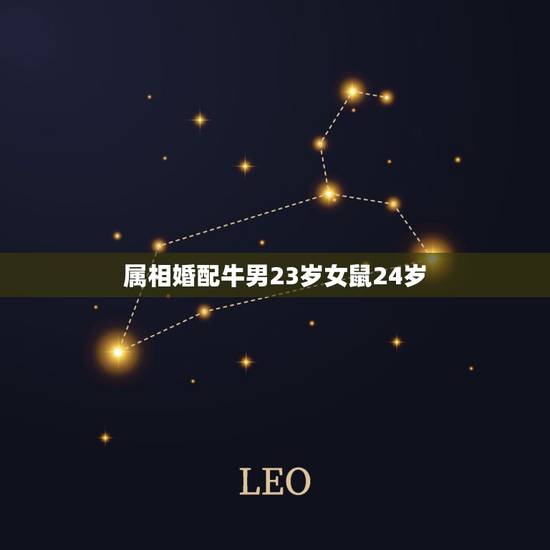 属相婚配牛男23岁女鼠24岁，97属牛的属相婚配表女