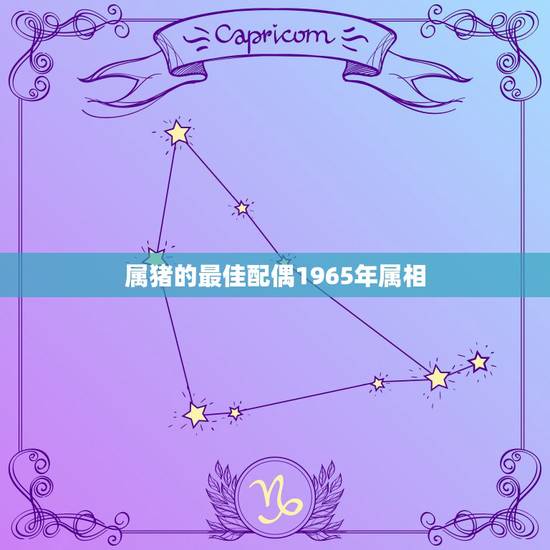 属猪的最佳配偶1965年属相，女孩1995年属猪，找什么属相男孩好。