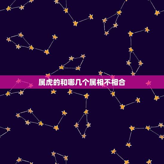 属虎的和哪几个属相不相合，属虎与什么属相不和