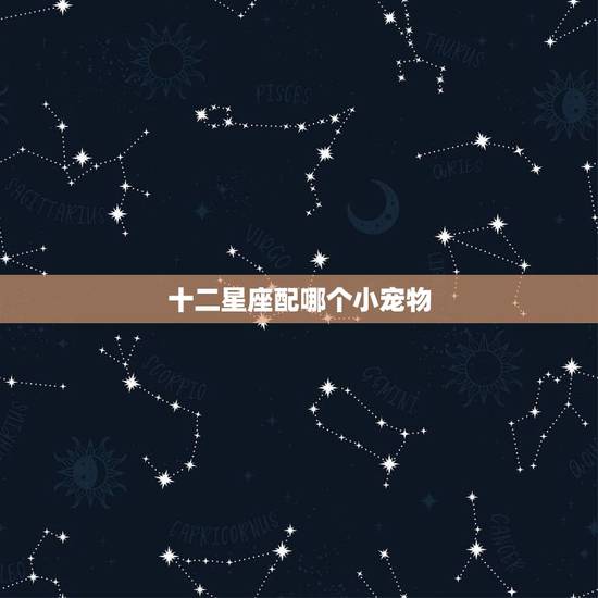 十二星座配哪个小宠物 十二星座适合养的宠物