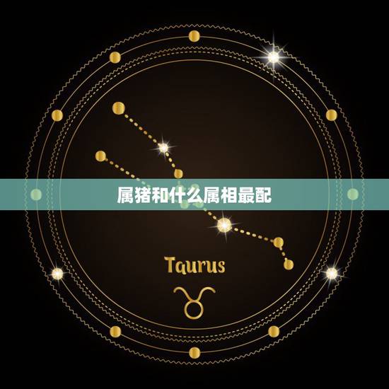 属猪和什么属相最配,属猪男配什么属相更好 属猪和什么属相最配,属猪男配什么属相更好