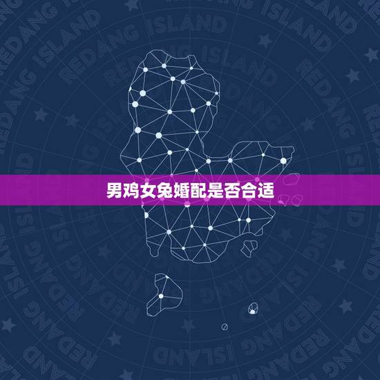男鸡女兔婚配是否合适，兔和鸡配婚姻好不好
